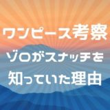 ゾロの師匠の名前とその正体は ワノ国の霜月家との関係について考察 かえるのうた