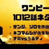 ゾロの名言 セリフ集を画像付きで一挙紹介 口調やしゃべり方 声優も紹介 かえるのうた