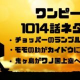 ワンピース ヤマトが10人目の仲間になる ヤマト仲間入りの伏線とは かえるのうた