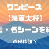 ワンピース 海軍大将の戦闘シーンを紹介 チート級で強すぎる かえるのうた