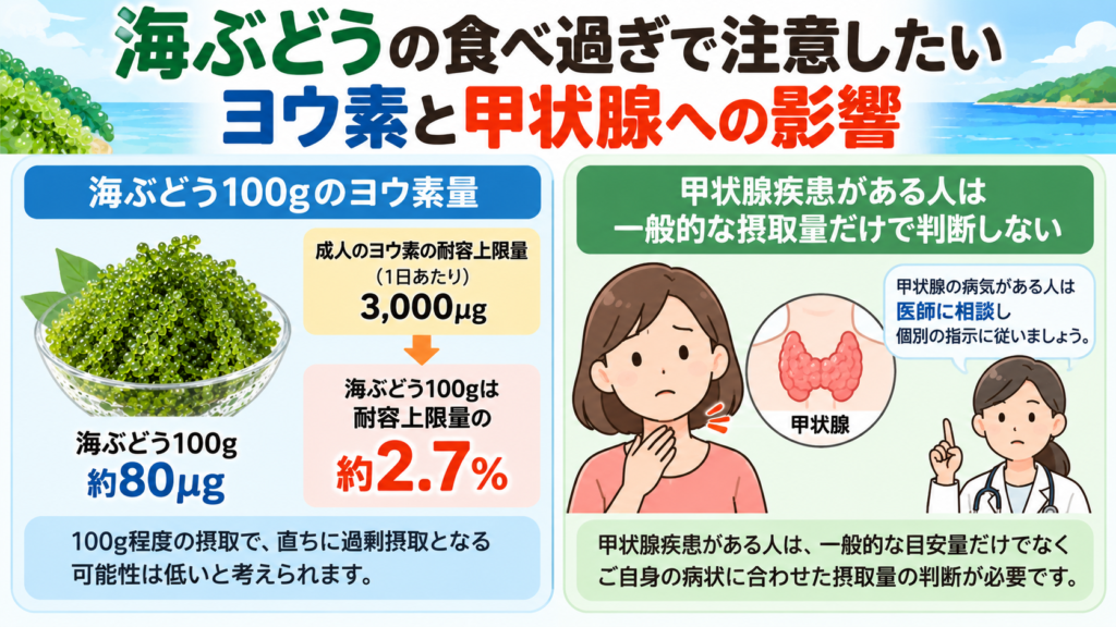 海ぶどうの食べ過ぎで注意したいヨウ素と甲状腺への影響